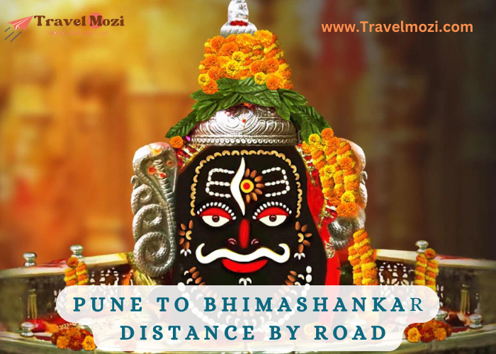 Pune to Bhimashankar Distance