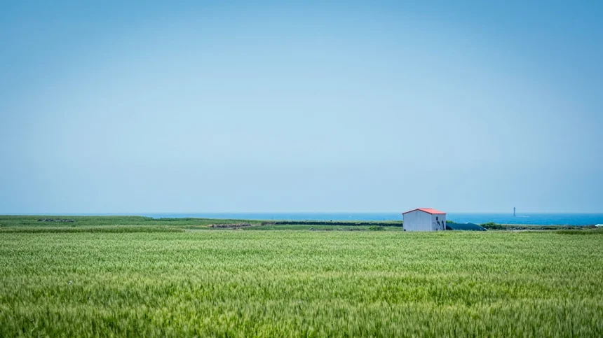 Jeju Island