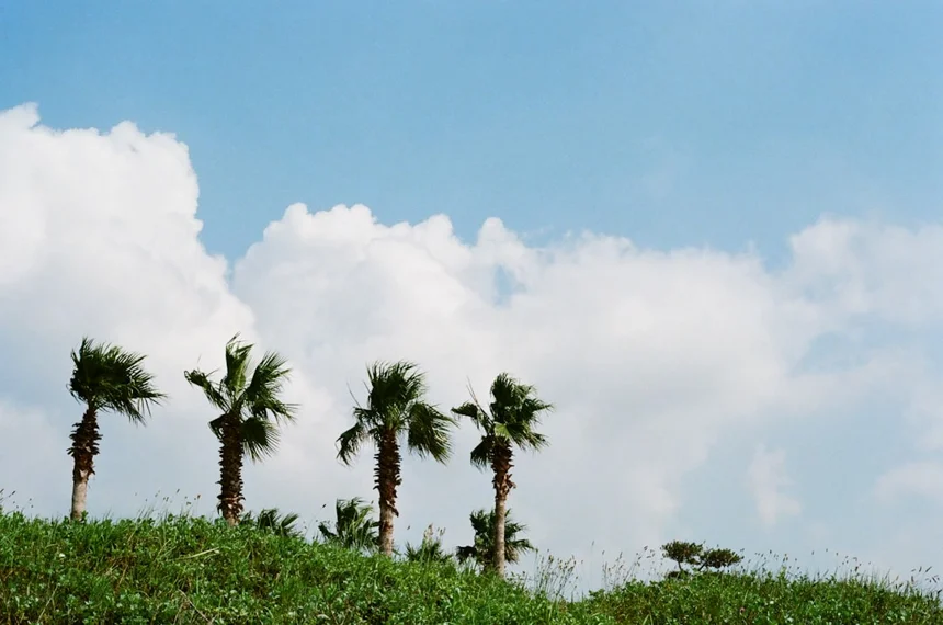 Jeju